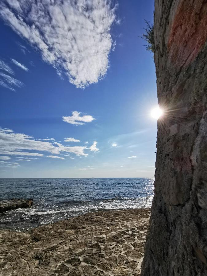 Ivan B&B, 5 Star Superior Room, Near The See And Park Novigrad Istria エクステリア 写真