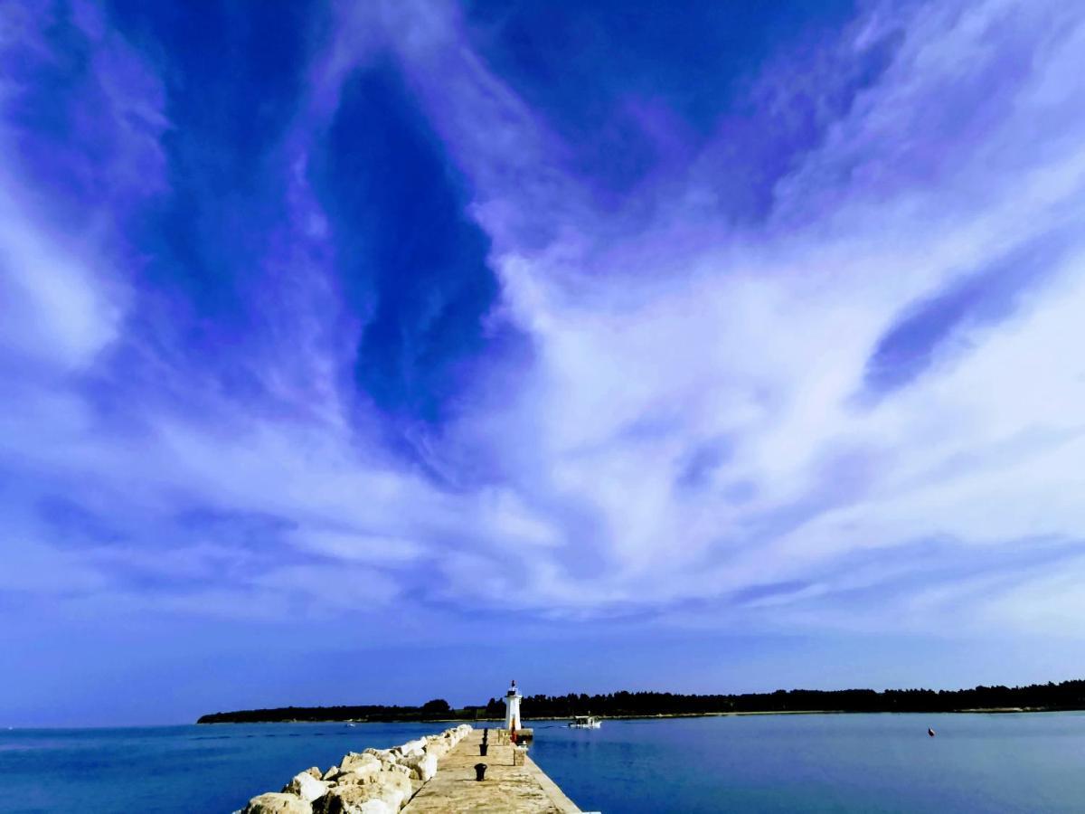 Ivan B&B, 5 Star Superior Room, Near The See And Park Novigrad Istria エクステリア 写真